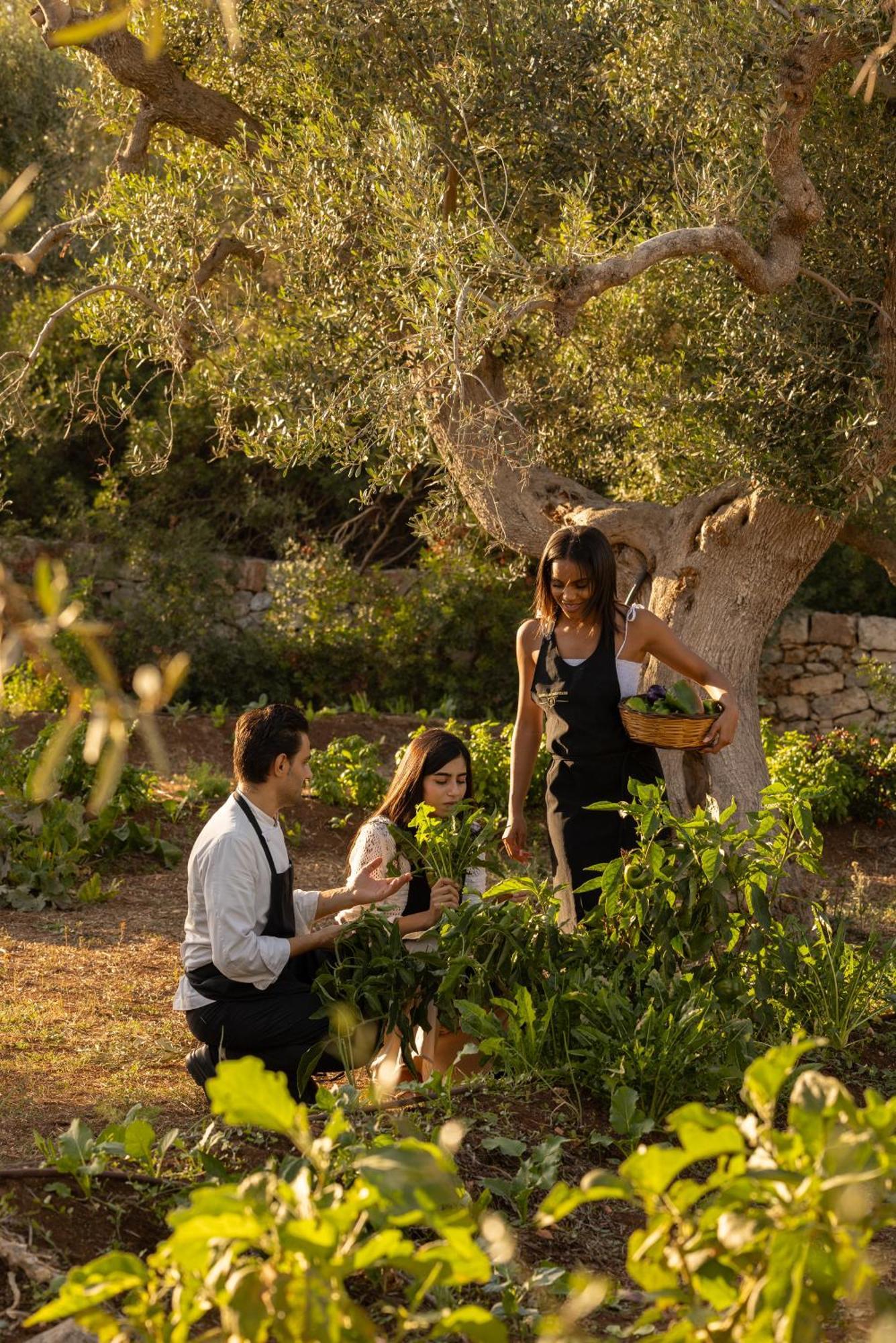Masseria San Paolo Grande