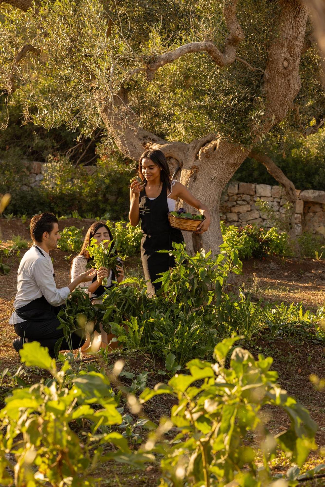 Masseria San Paolo Grande Resort